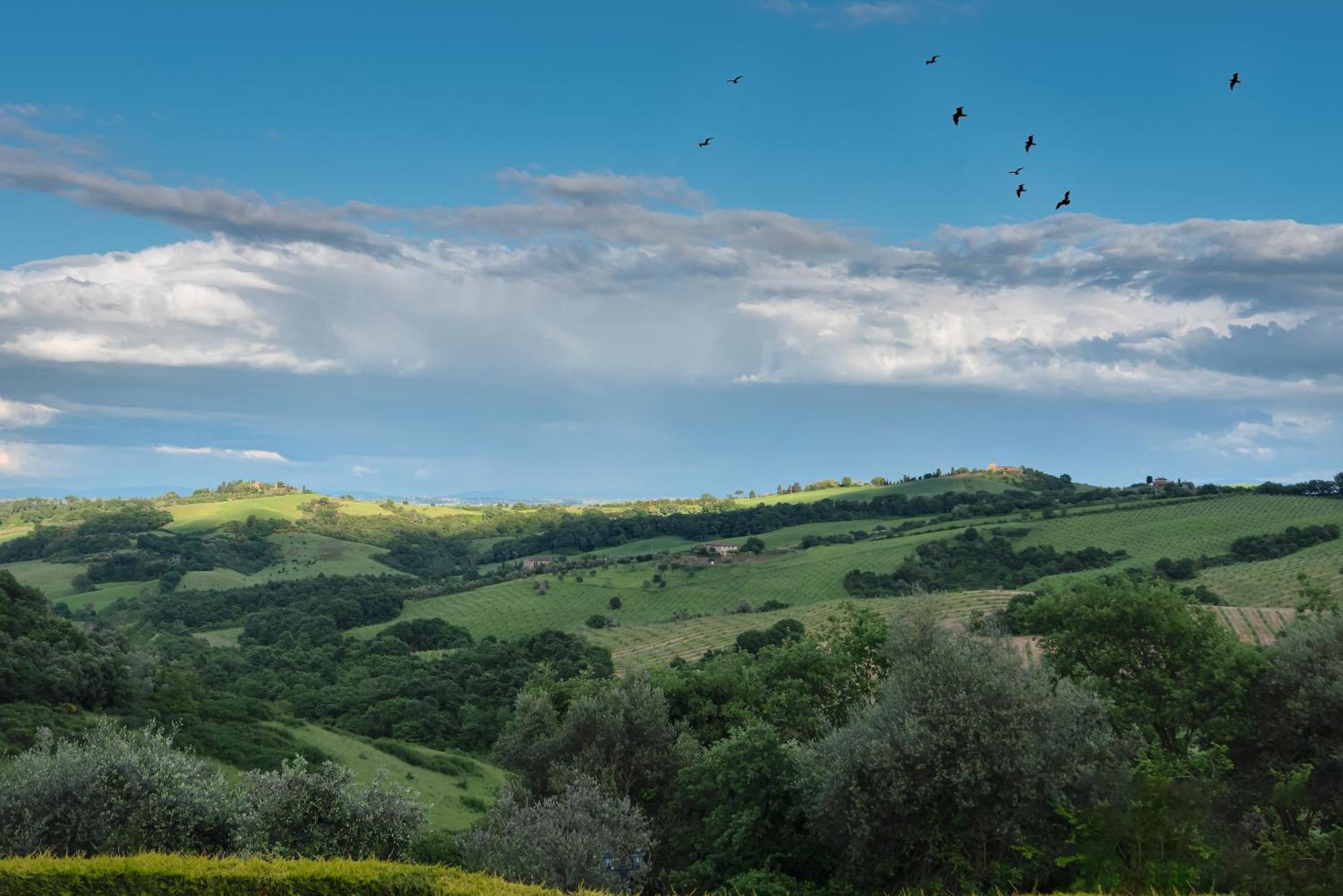 Poggio Paradiso Resort & Spa Montefollonico Exteriör bild